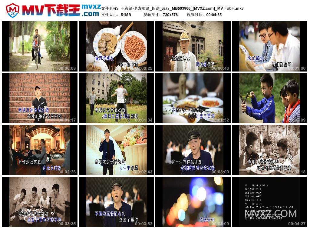 王海滨-老友如酒_国语_流行_MB503966